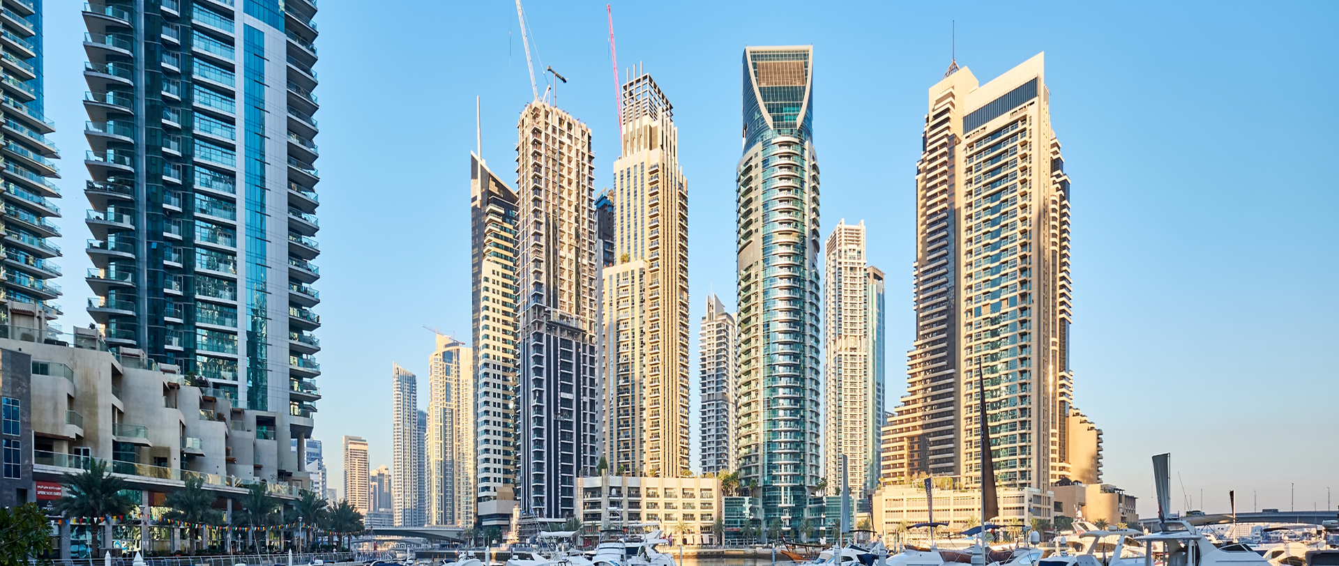 Building a Digital Reputation Strategy in 2025 — A Comprehensive Guide to Managing Brand Trust and Growth - article cover image | Ratetik